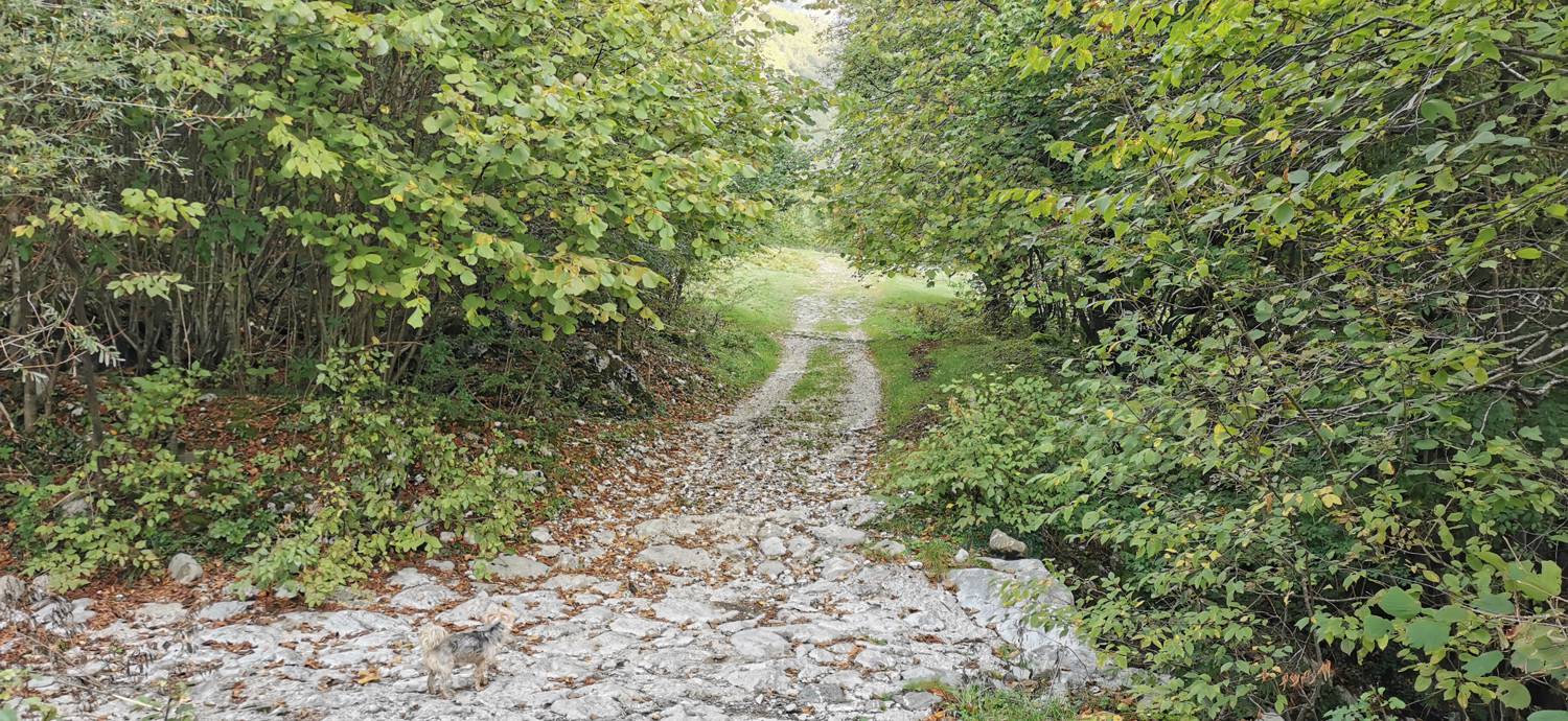 Planina Srednica - Planina Prode slika 7