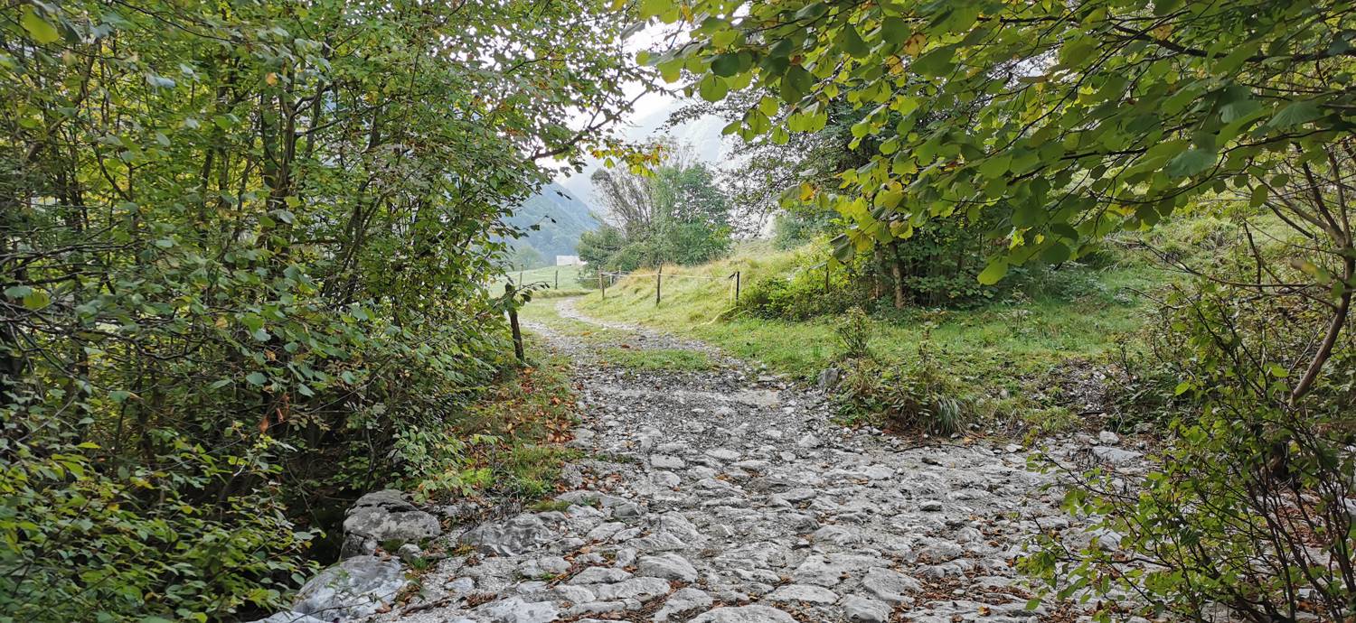 Planina Srednica - Planina Srednica slika 63