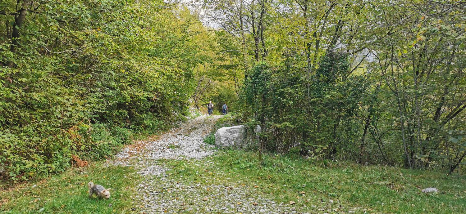 Planina Srednica - Planina Srednica slika 7