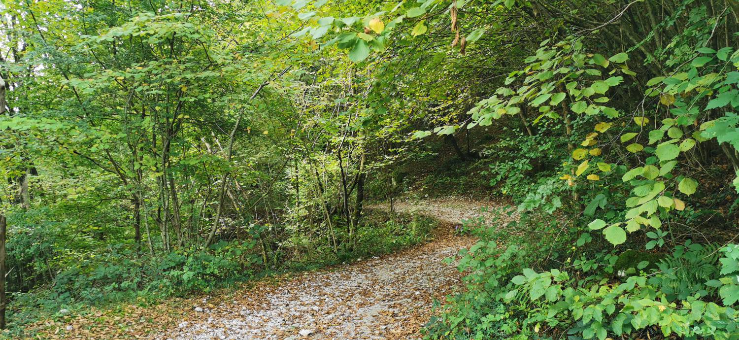 Planina Srednica - Planina Srednica slika 61