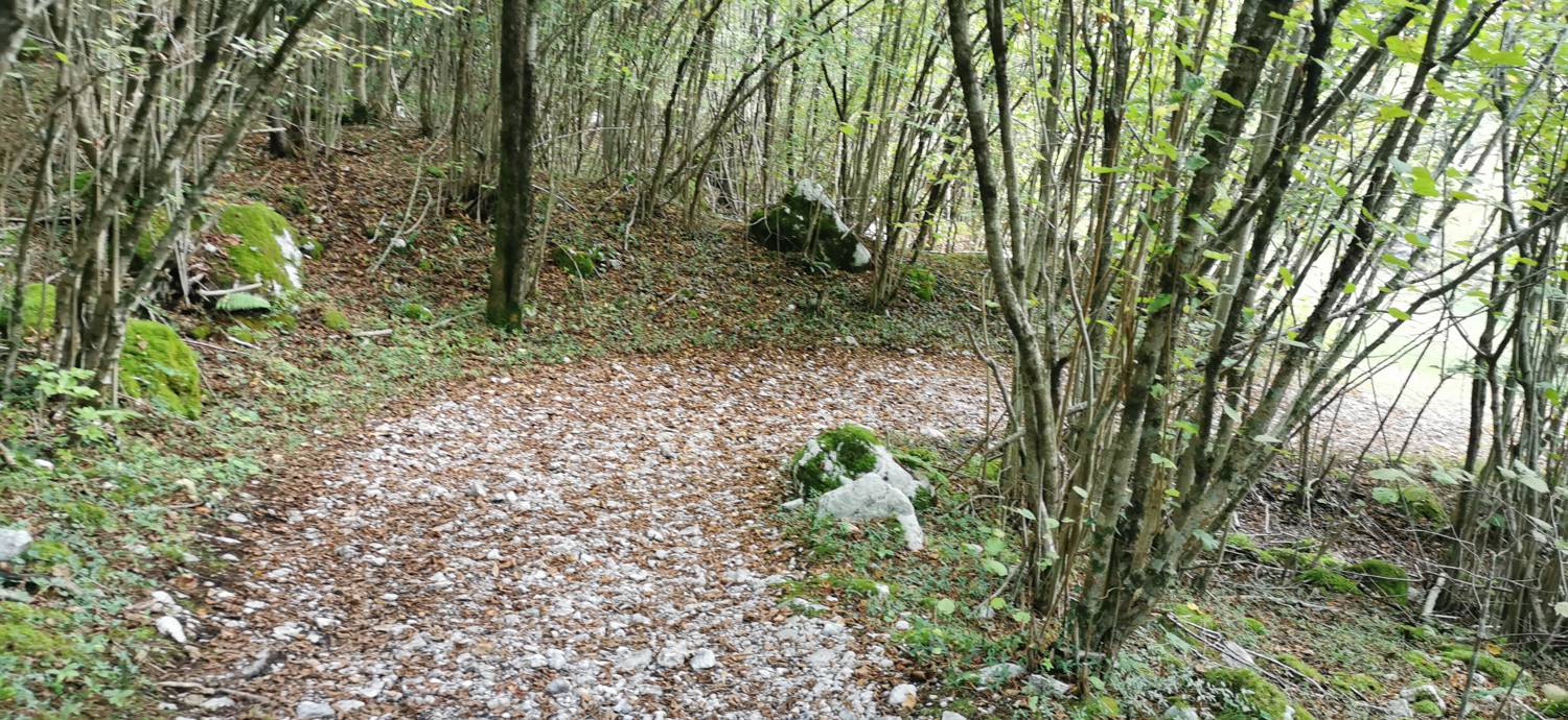 Planina Srednica - Planina Srednica slika 9