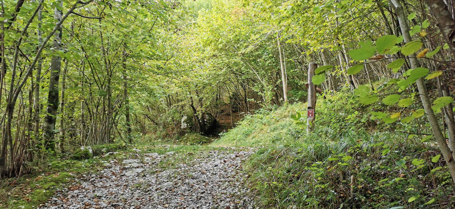 Planina Srednica - Planina Srednica slika 60