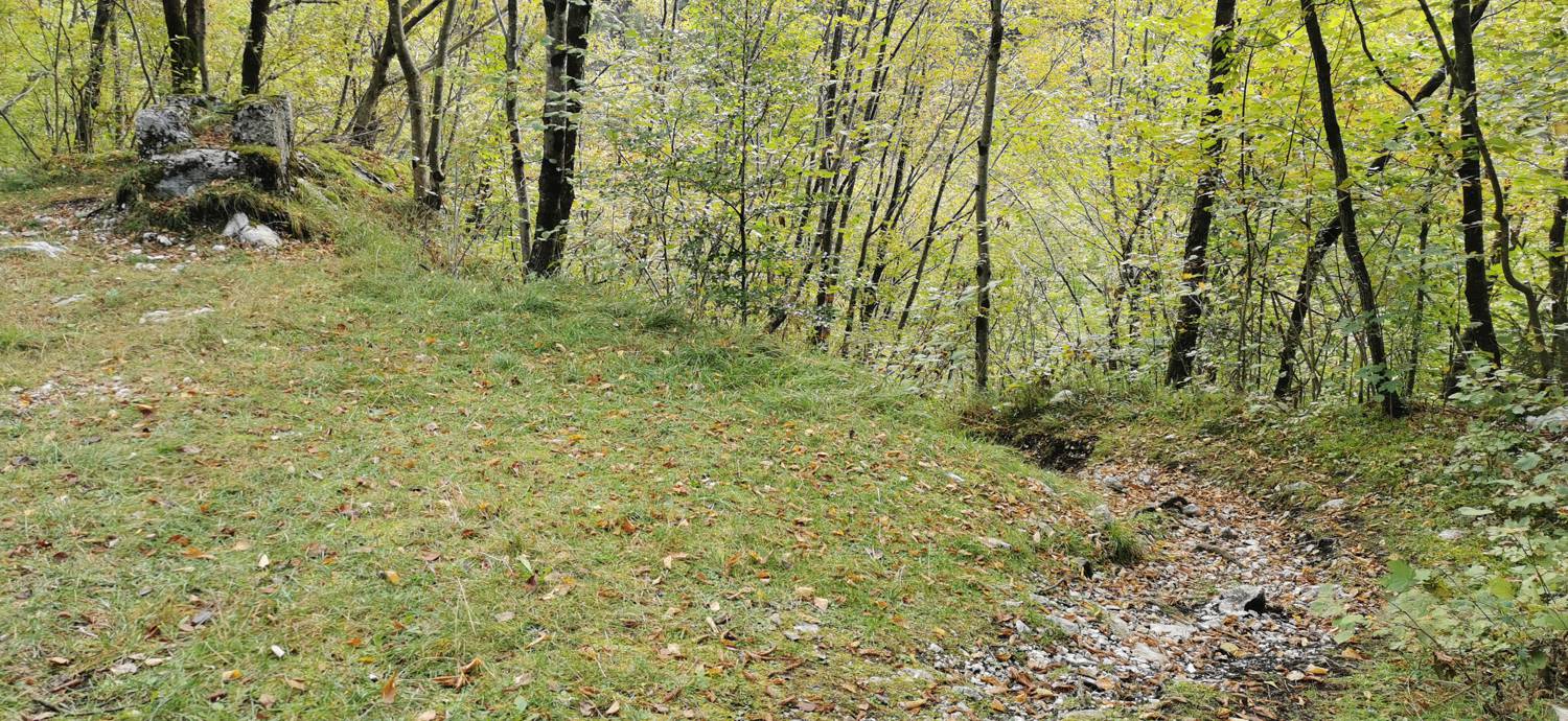Planina Srednica - Planina Srednica slika 10