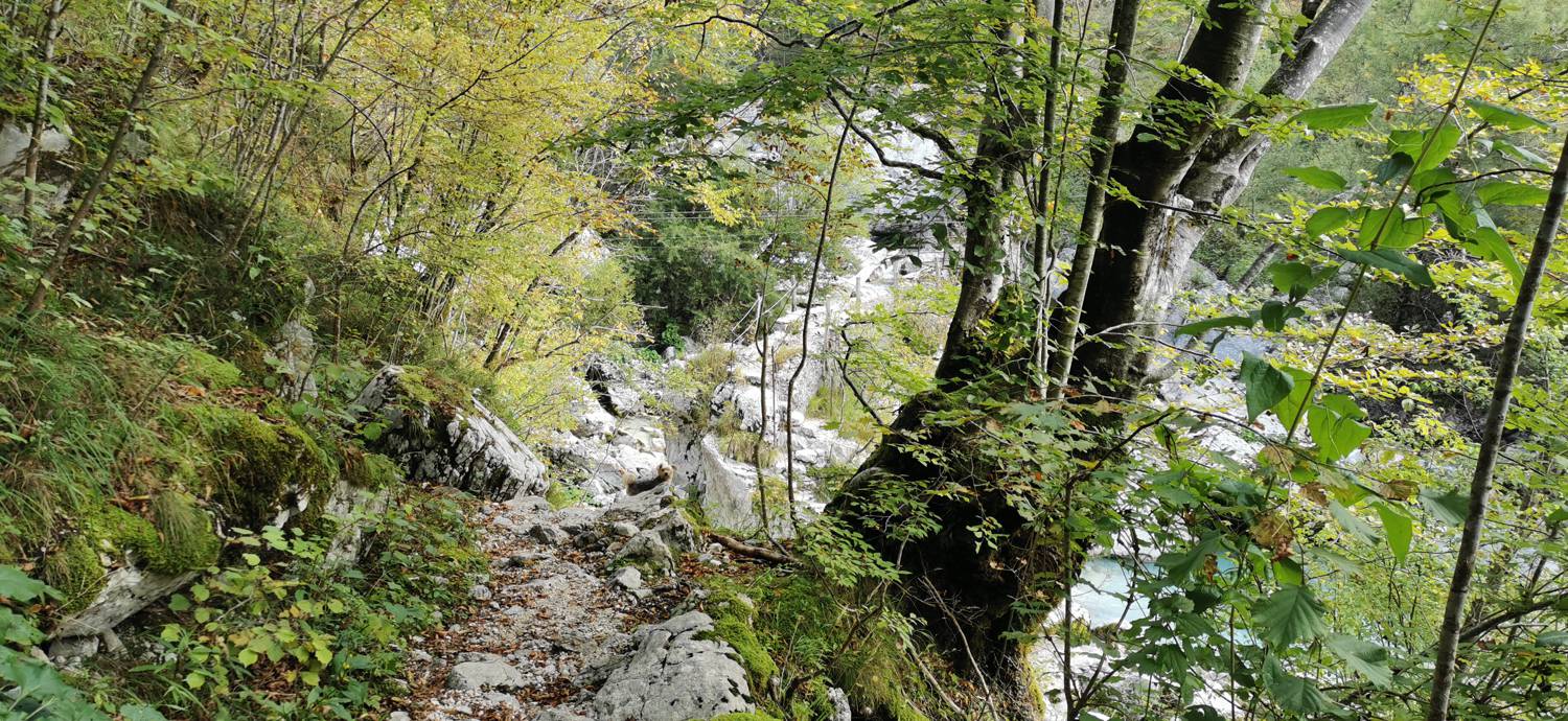 Planina Srednica - Planina Srednica slika 11