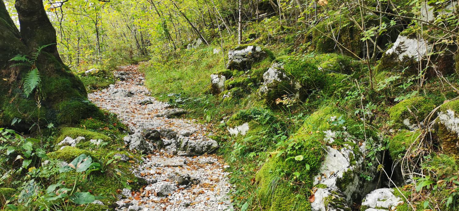 Planina Srednica - Planina Srednica slika 58