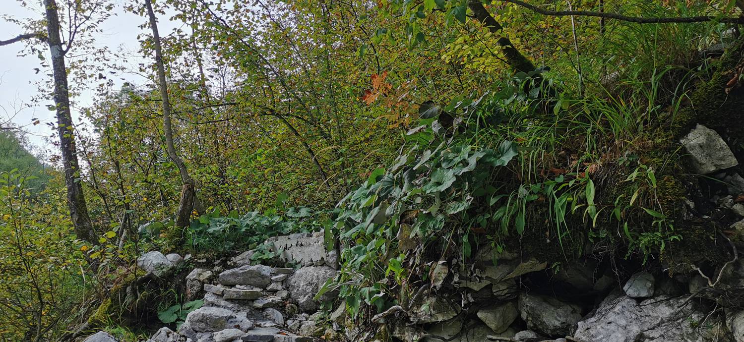 Planina Srednica - Planina Srednica slika 57