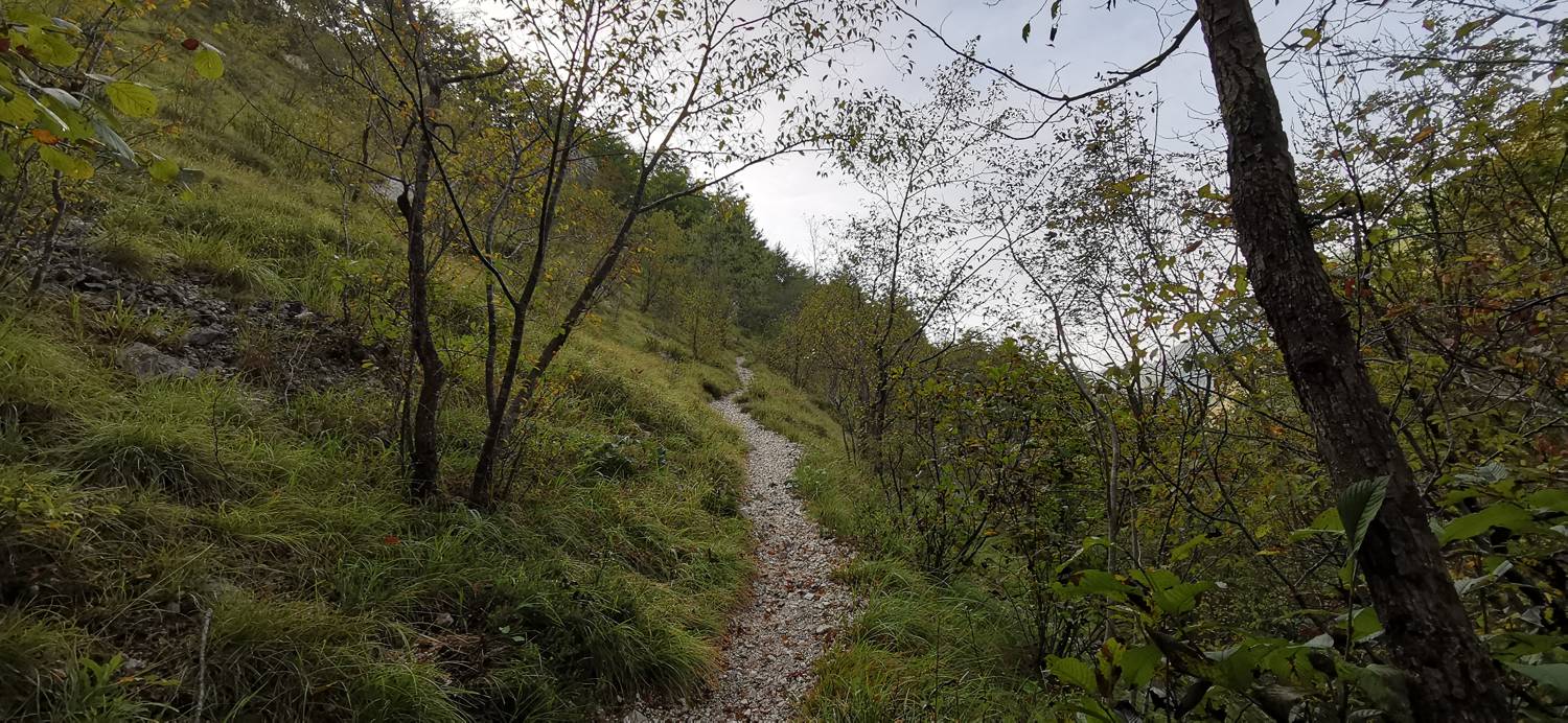 Planina Srednica - Planina Srednica slika 16