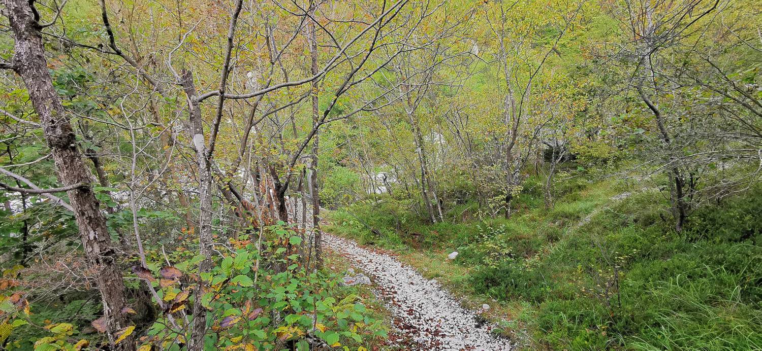 Planina Srednica - Planina Srednica slika 53