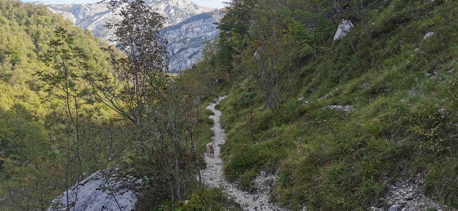 Planina Srednica - Planina Srednica slika 17