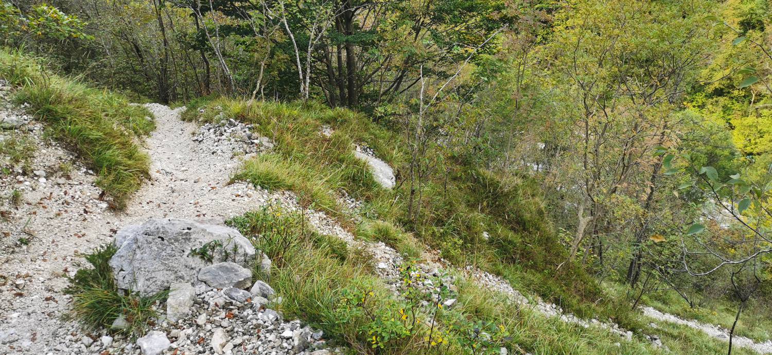 Planina Srednica - Planina Srednica slika 52