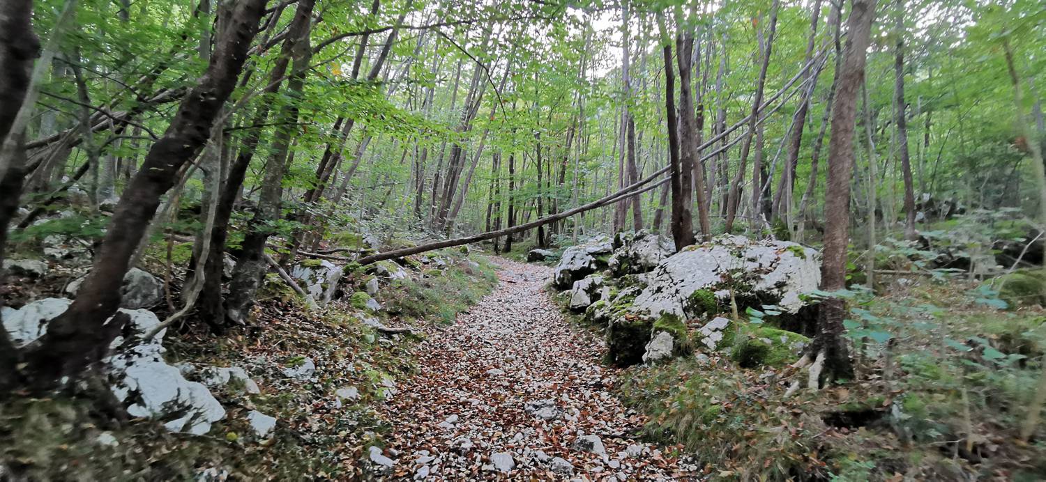 Planina Srednica - Planina Srednica slika 18