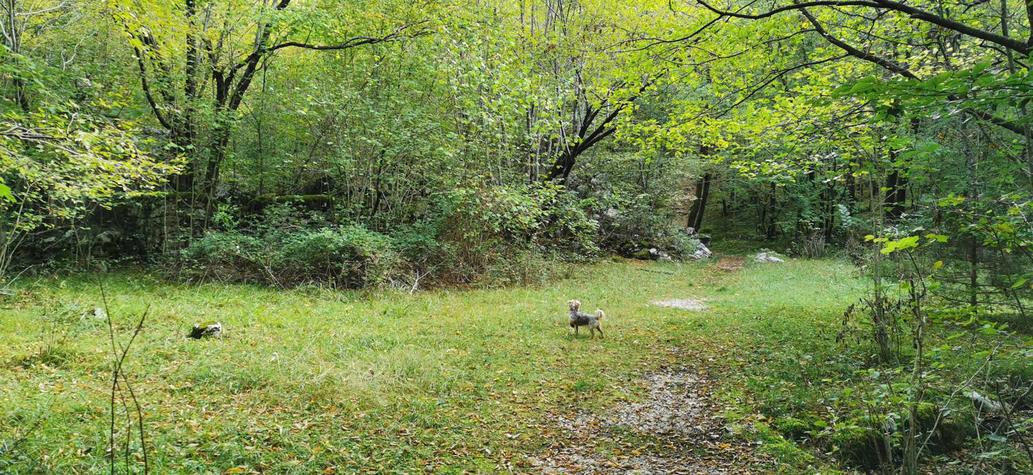 Planina Srednica - Planina Srednica slika 19