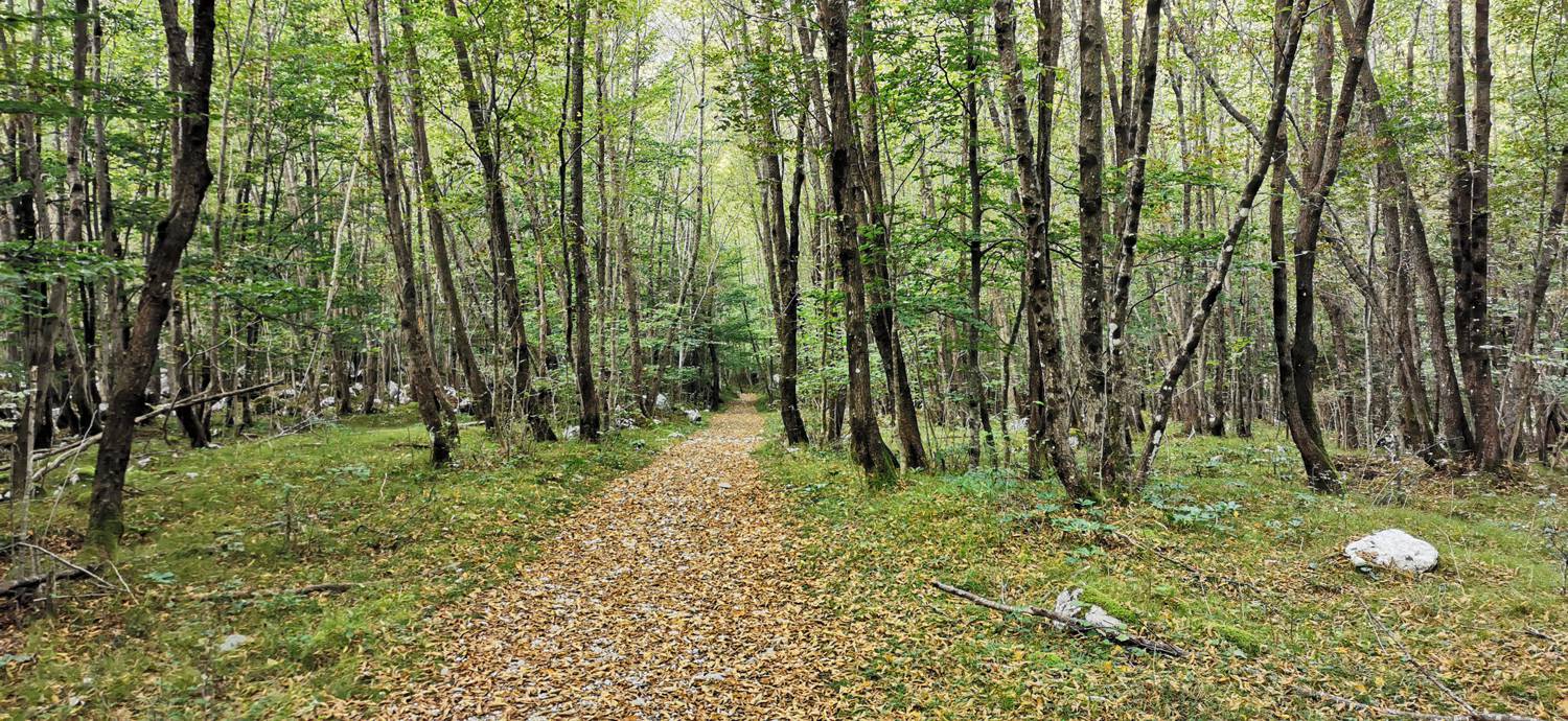 Planina Srednica - Planina Prode slika 20