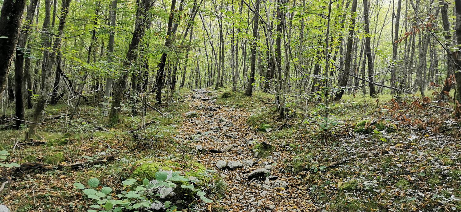 Planina Srednica - Planina Srednica slika 20