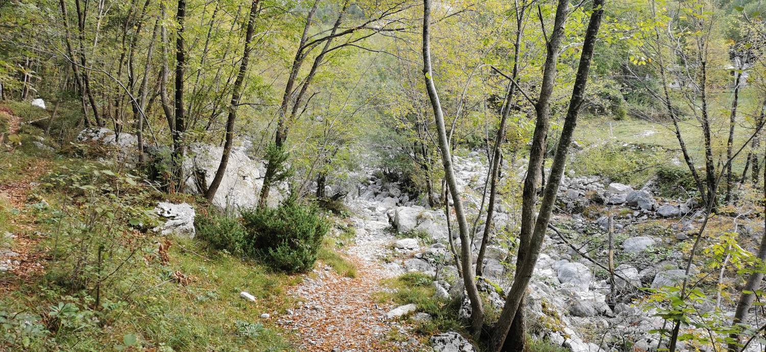 Planina Srednica - Planina Srednica slika 21