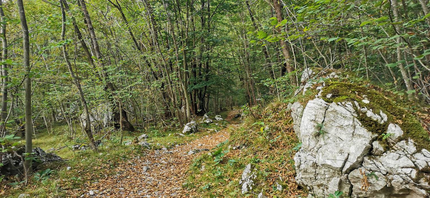 Planina Srednica - Planina Srednica slika 48