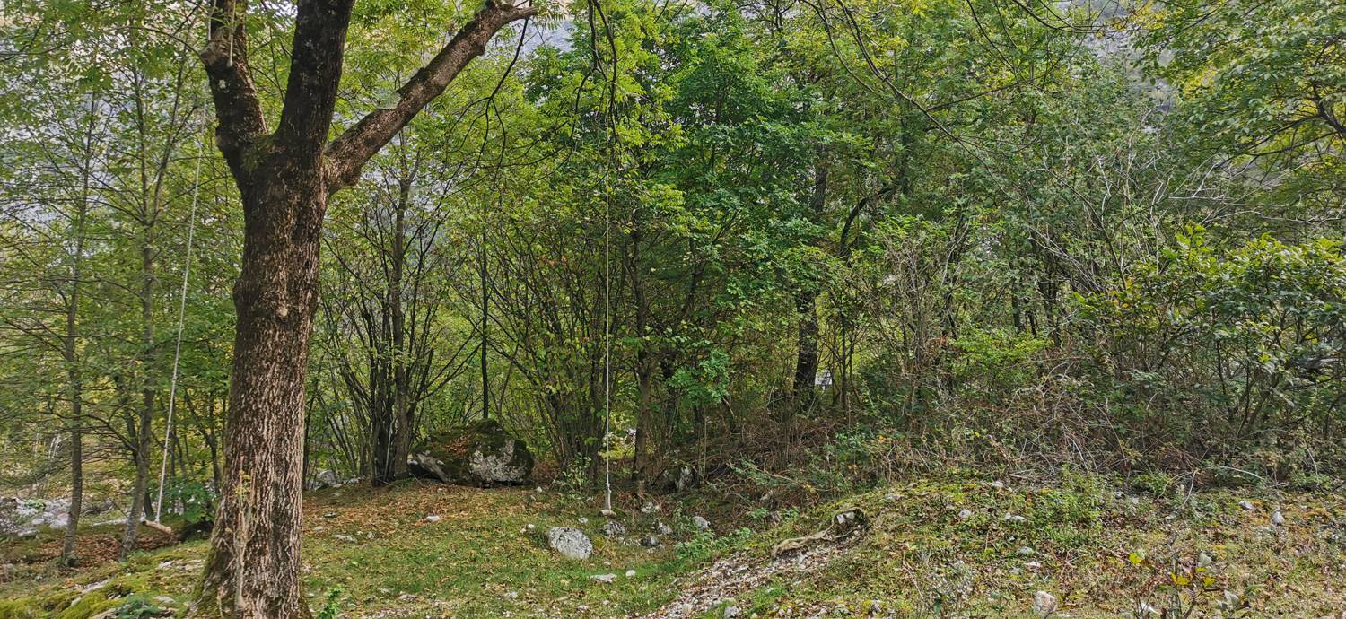 Planina Srednica - Planina Srednica slika 23