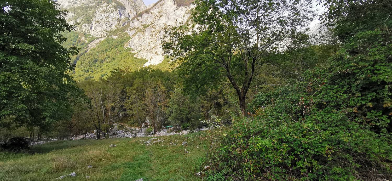 Planina Srednica - Planina Srednica slika 43