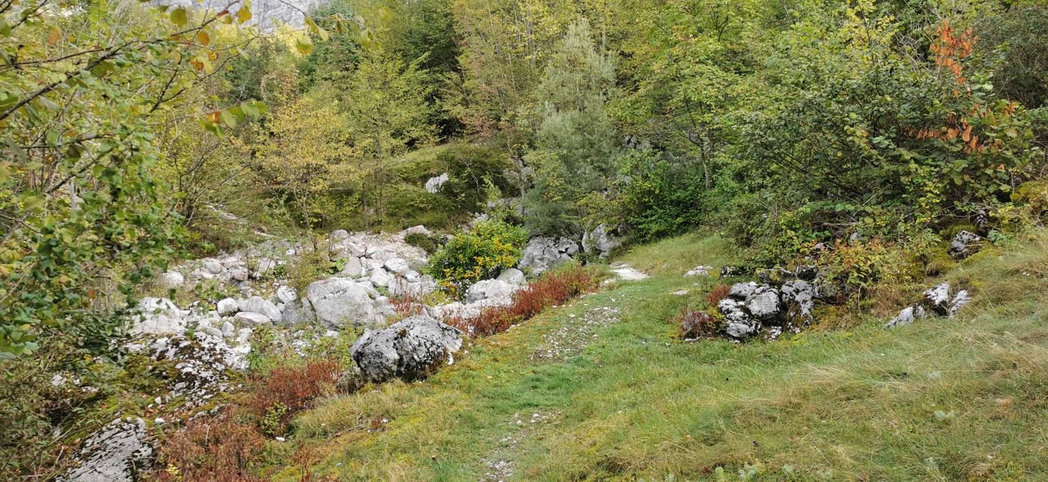 Planina Srednica - Planina Srednica slika 26