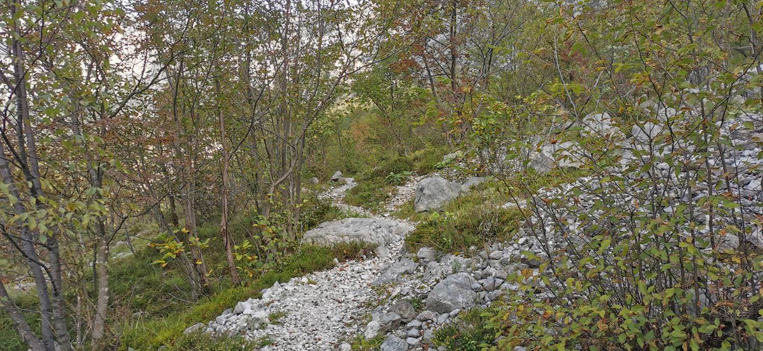 Planina Srednica - Planina Srednica slika 27