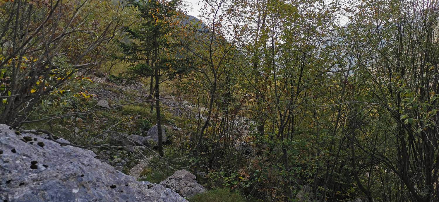 Planina Srednica - Planina Srednica slika 41