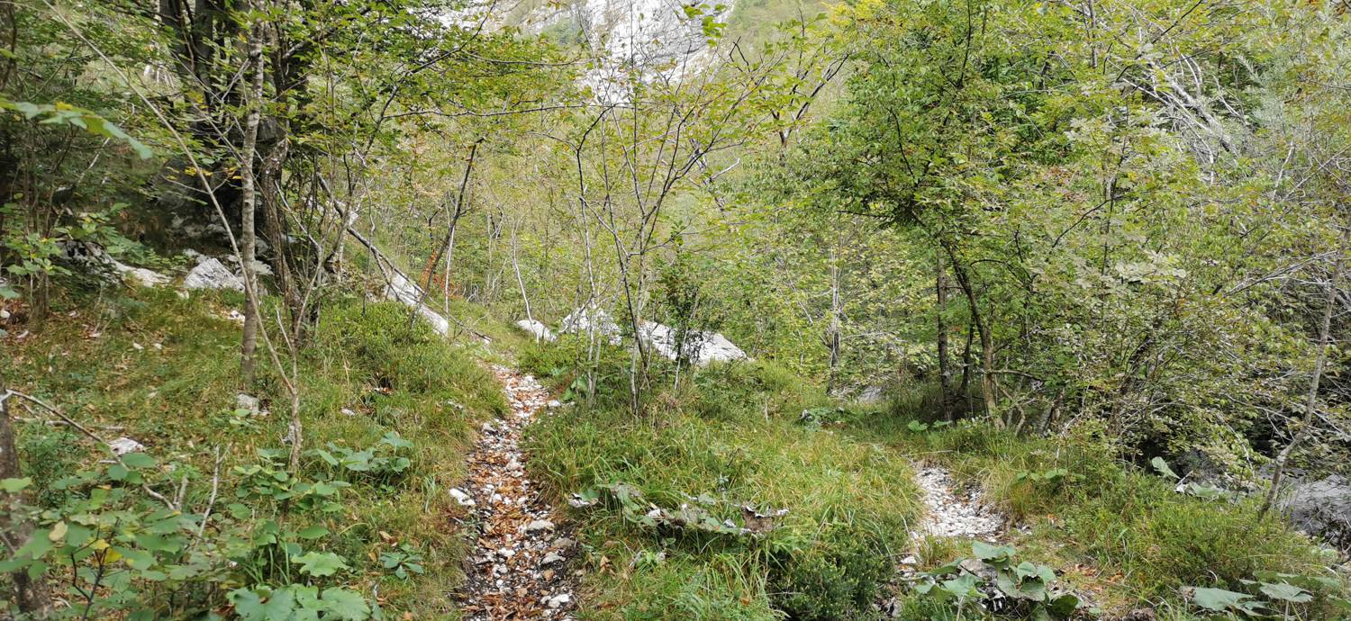 Planina Srednica - Planina Srednica slika 28