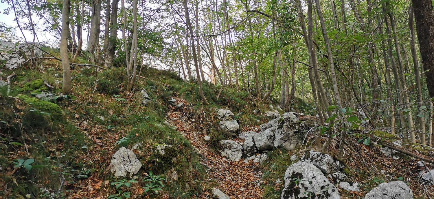 Planina Srednica - Planina Srednica slika 29