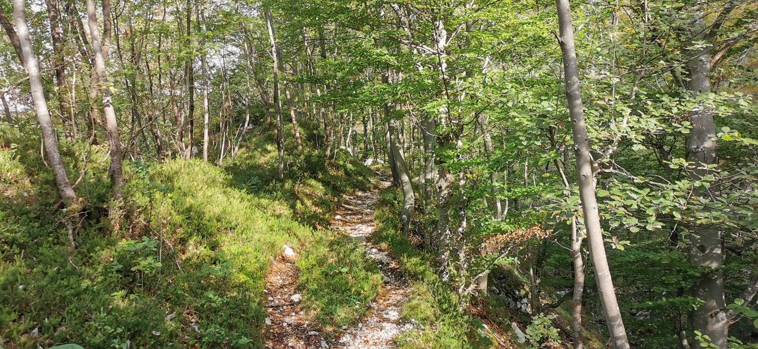 Planina Srednica - Planina Srednica slika 30