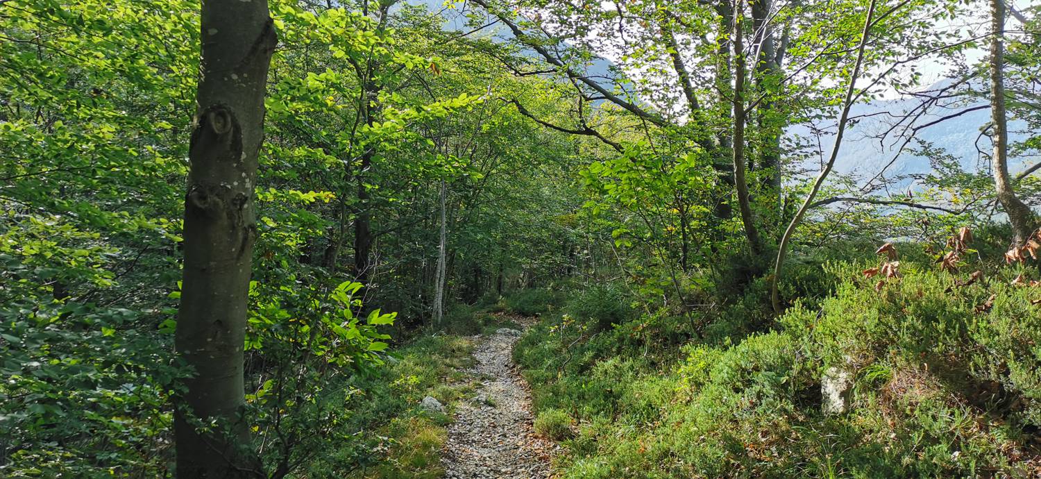 Planina Srednica - Planina Srednica slika 39