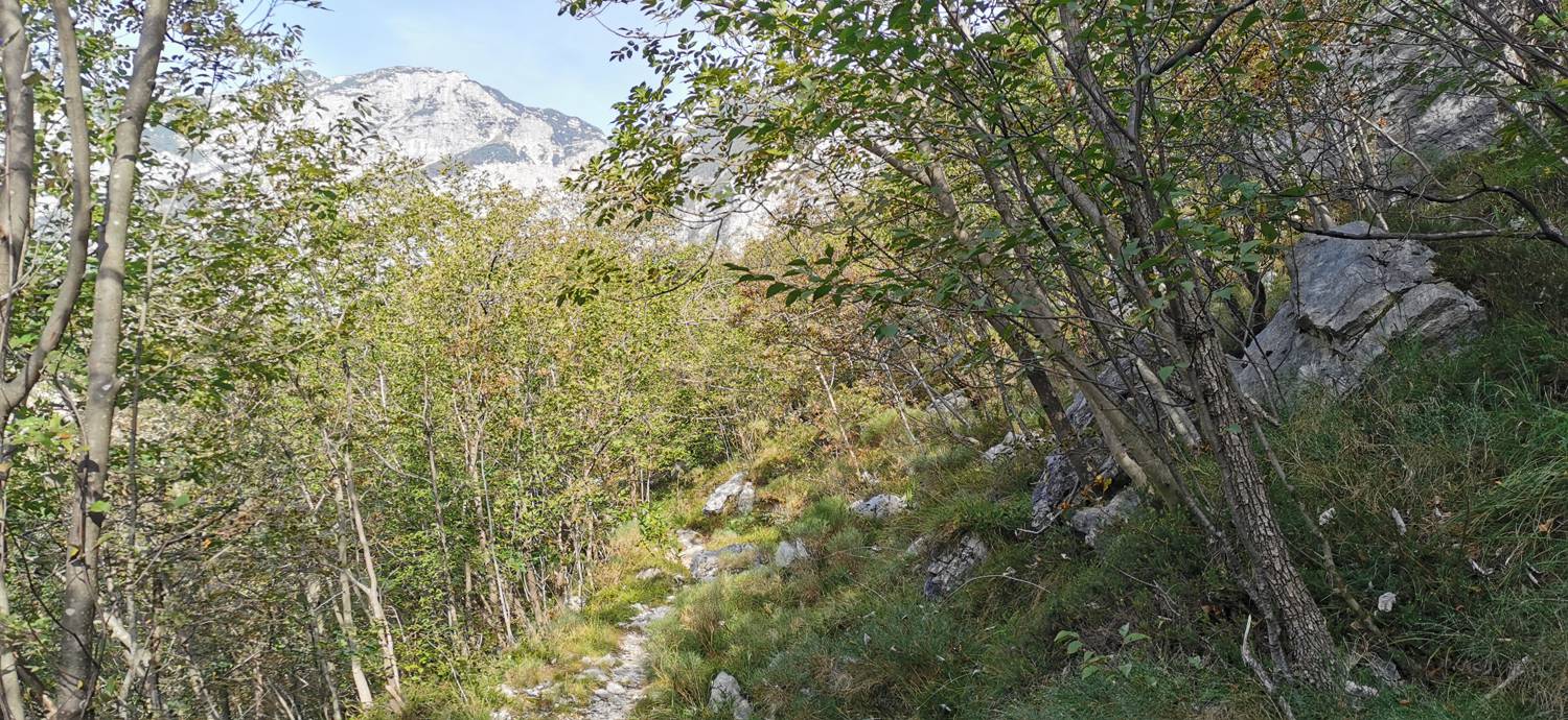 Planina Srednica - Planina Srednica slika 31