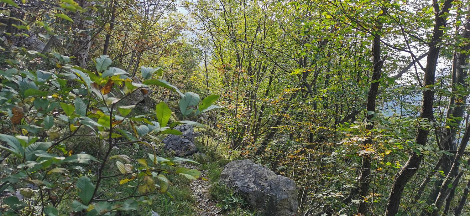 Planina Srednica - Planina Srednica slika 38