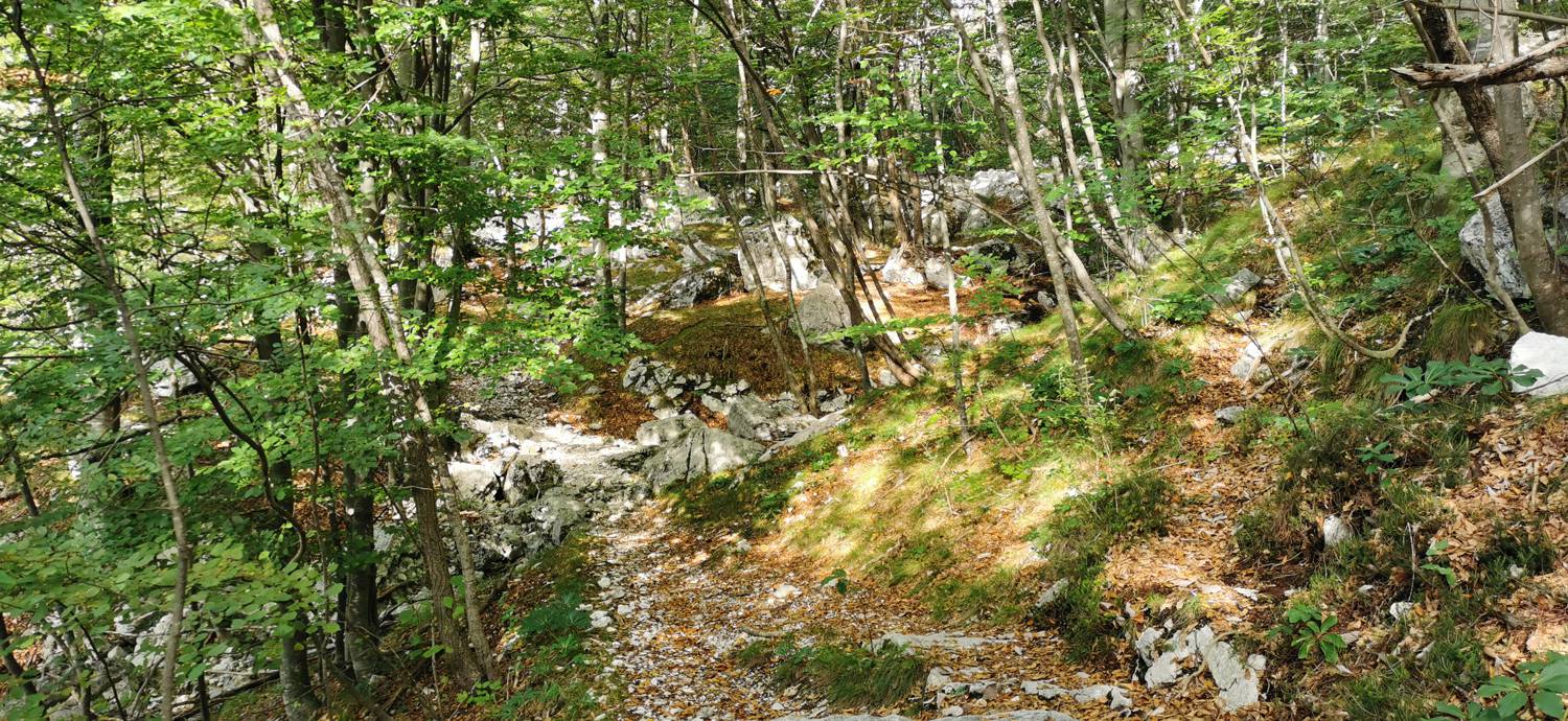 Planina Srednica - Planina Srednica slika 32