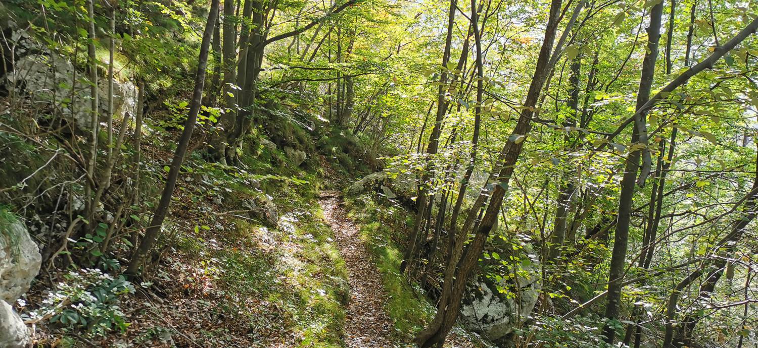 Planina Srednica - Planina Srednica slika 37