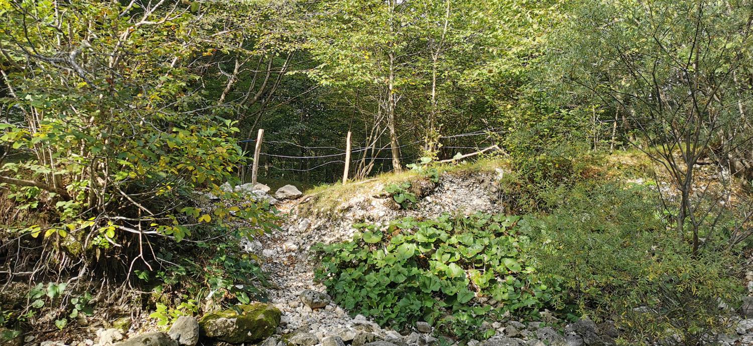 Planina Srednica - Planina Srednica slika 33