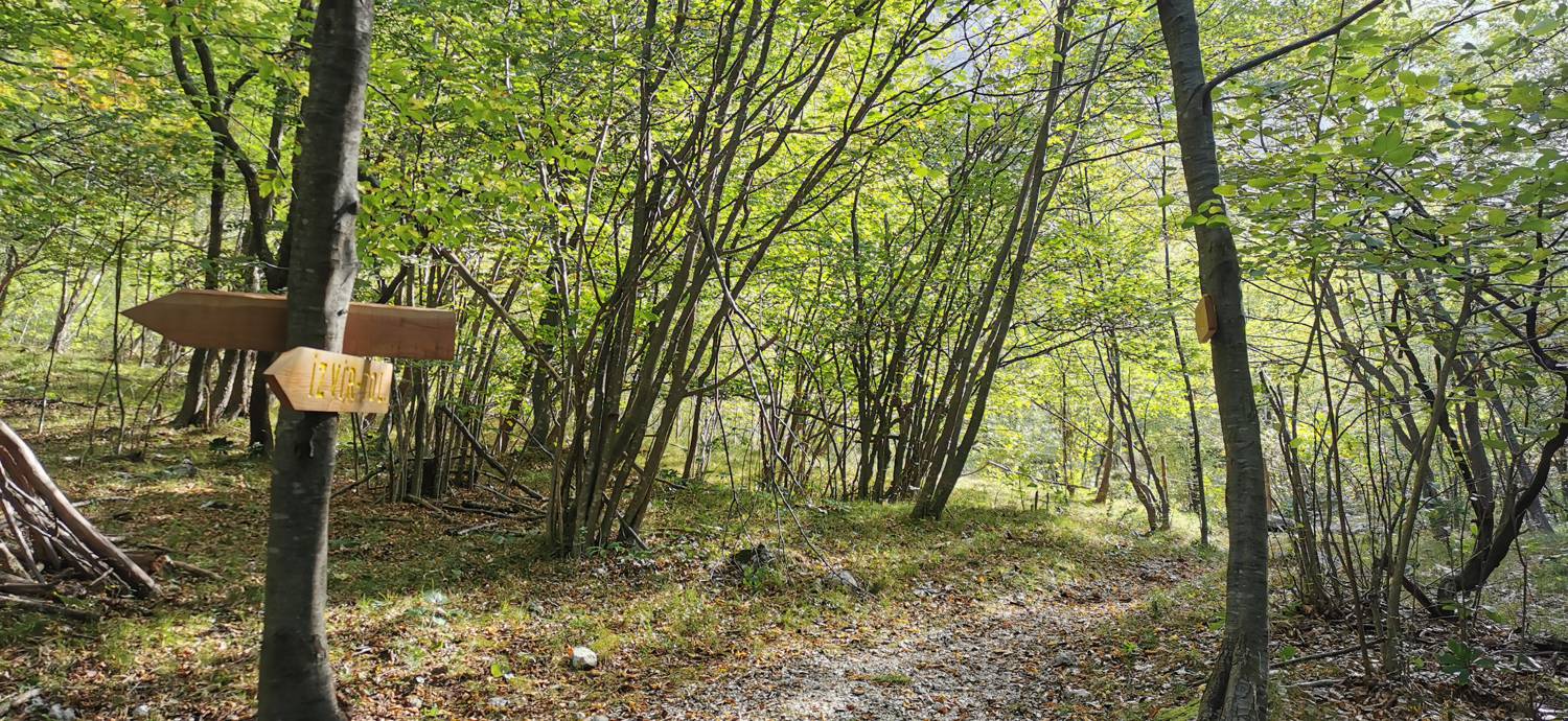 Planina Srednica - Planina Srednica slika 35