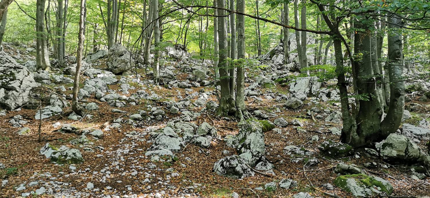 Planina Srednica - Planina Srednica slika 34