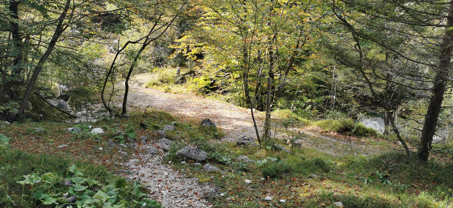 Planina Srednica - Planina Srednica slika 36