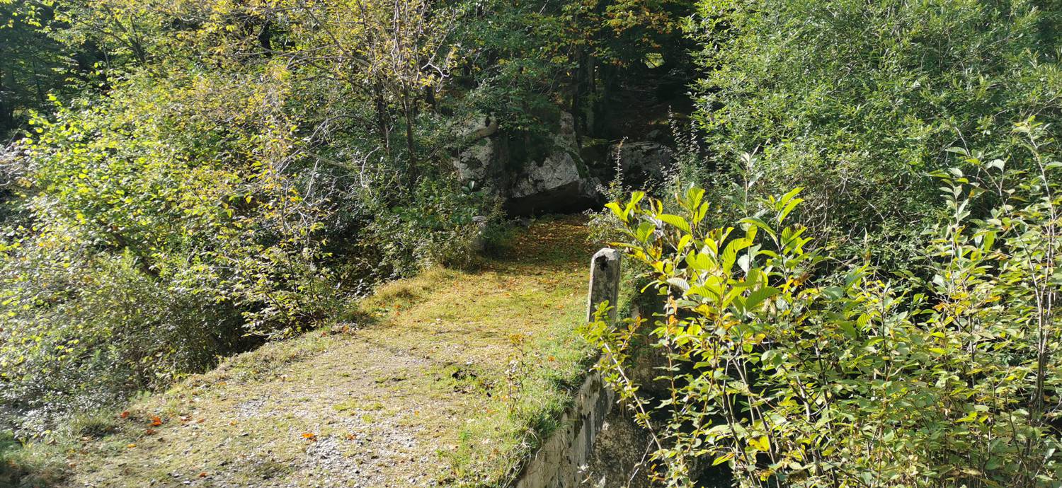 Planina Srednica - Planina Srednica slika 37