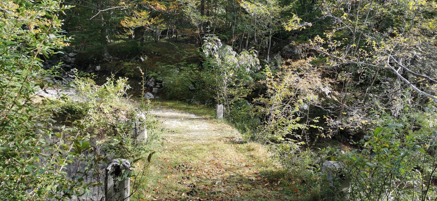 Planina Srednica - Planina Srednica slika 32