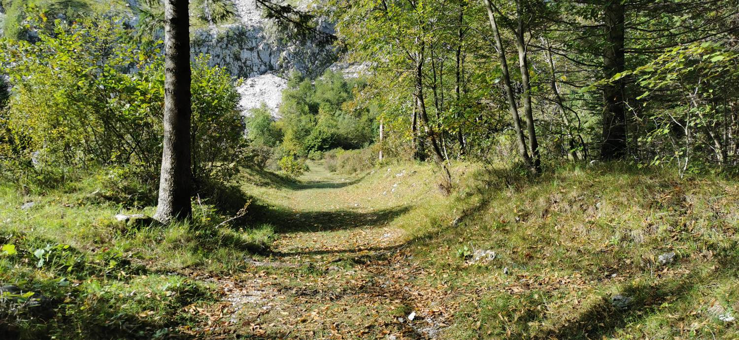 Planina Srednica - Planina Srednica slika 38