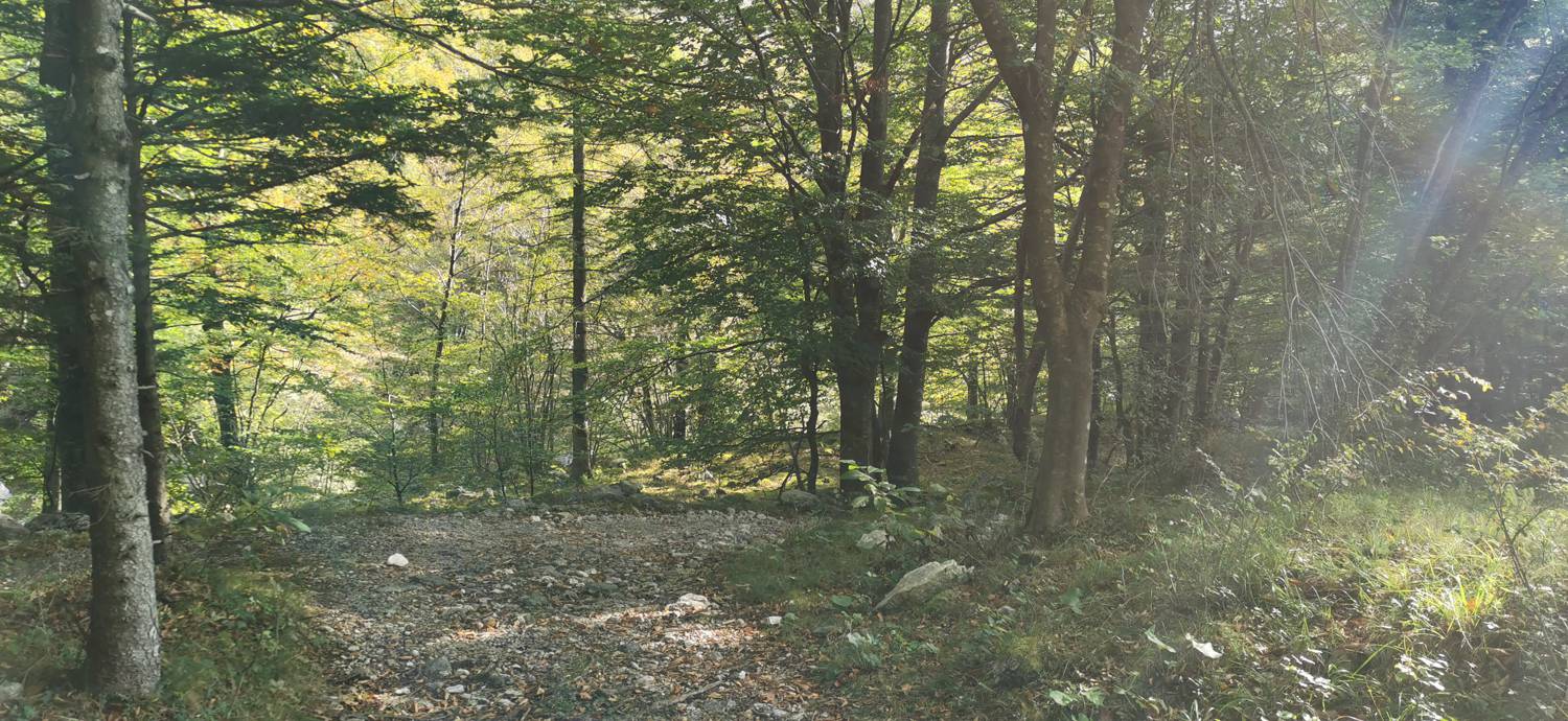 Planina Srednica - Planina Srednica slika 31