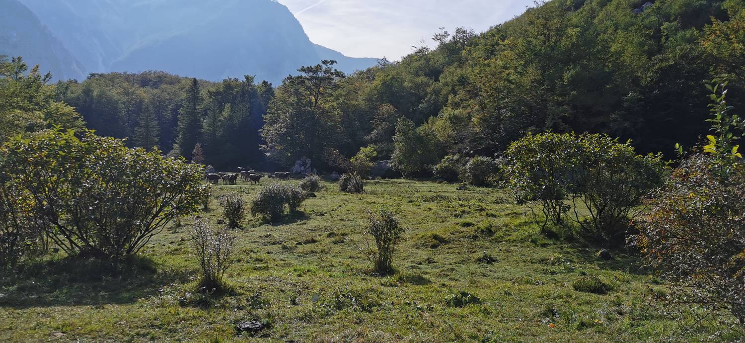 Planina Srednica - Planina Srednica slika 39