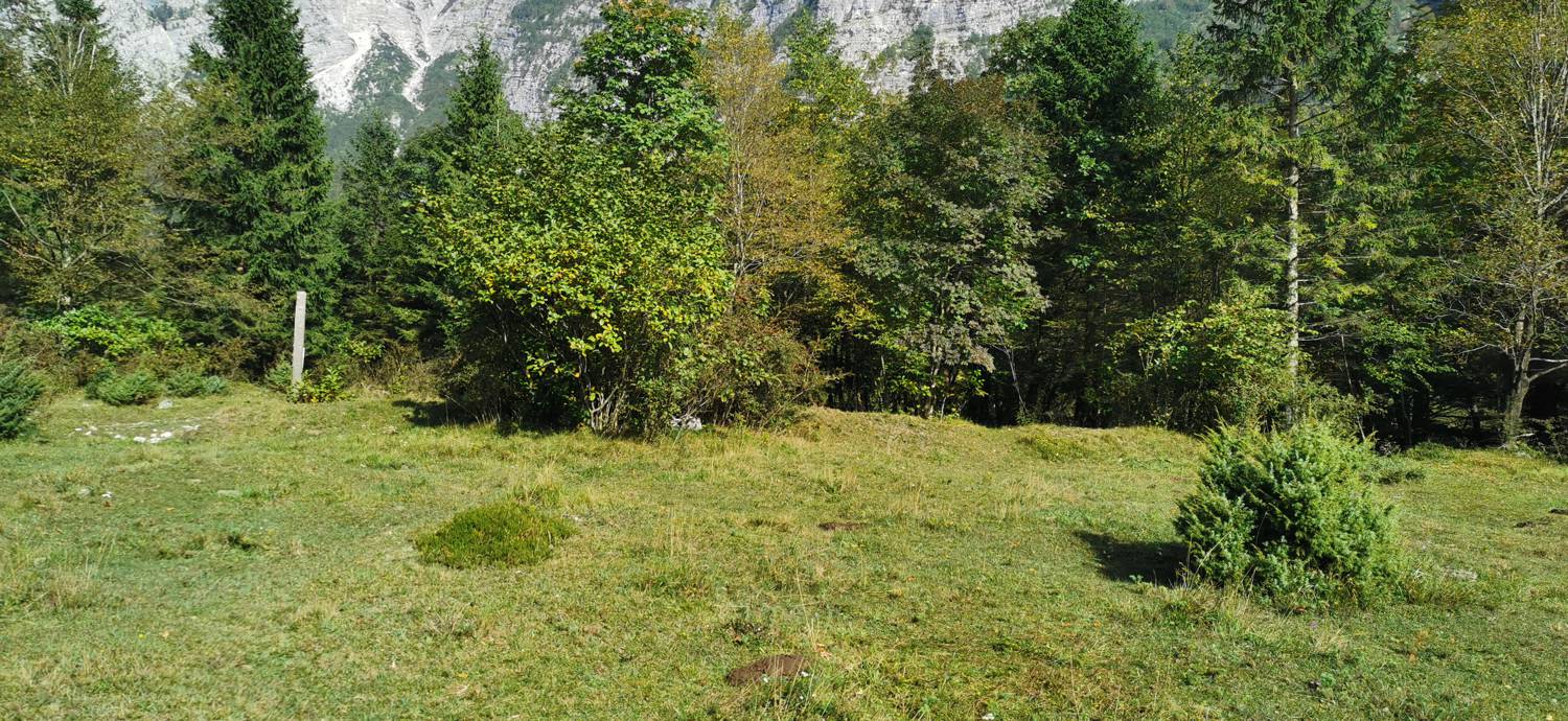 Planina Srednica - Planina Srednica slika 30
