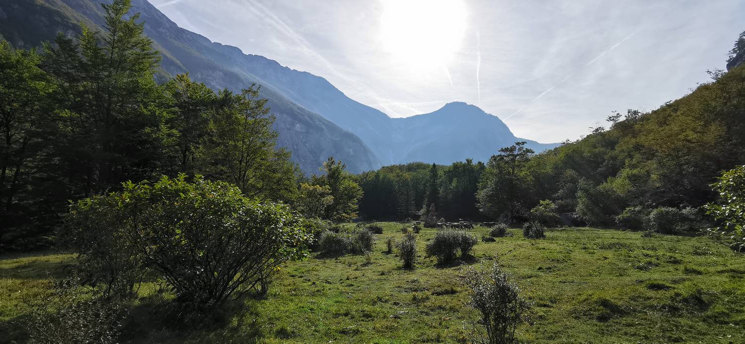Planina Srednica - Planina Srednica slika 40