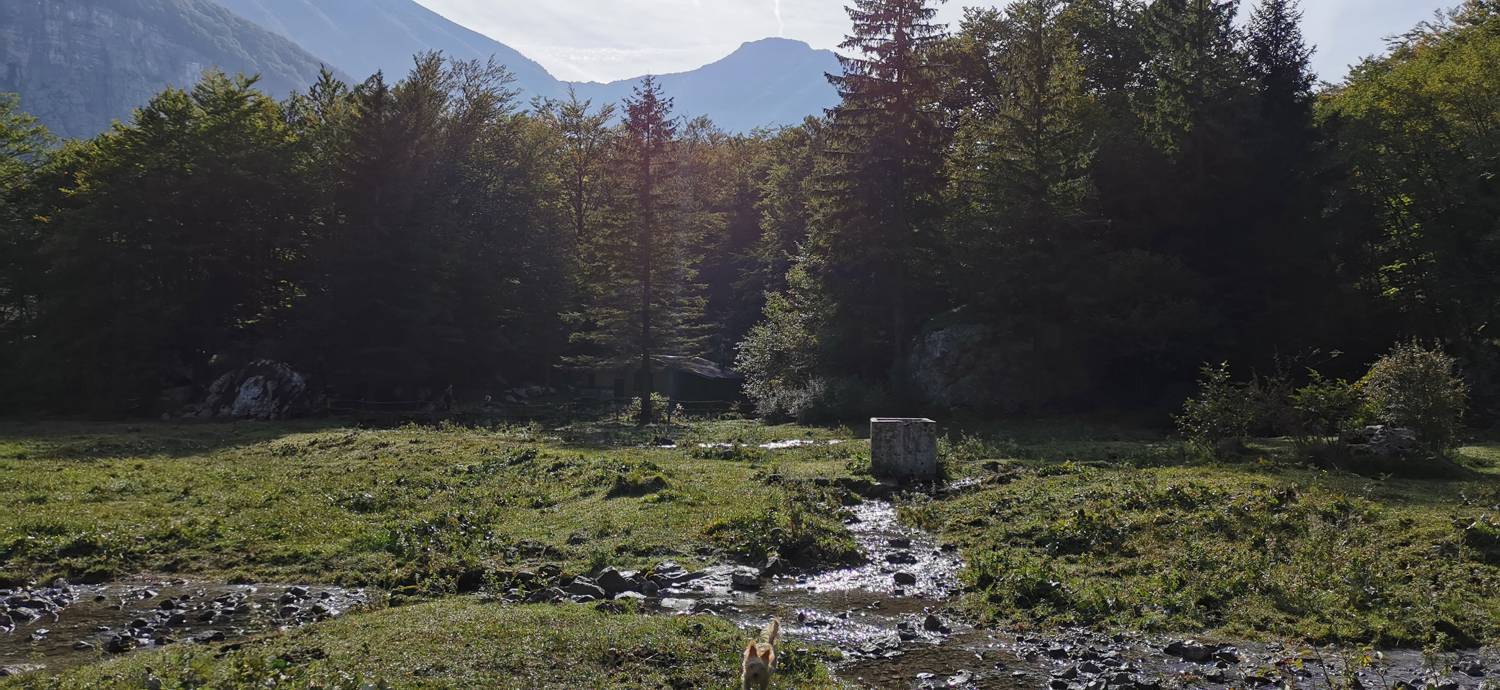 Planina Srednica - Planina Srednica slika 42