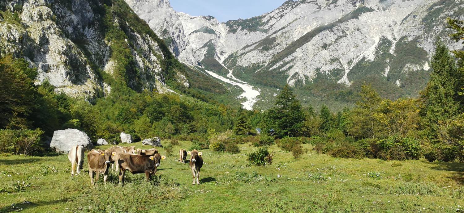 Planina Srednica - Planina Srednica slika 27