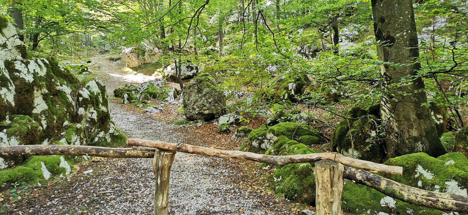 Planina Srednica - Planina Srednica slika 46