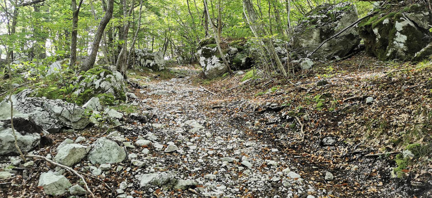 Planina Srednica - Planina Srednica slika 47