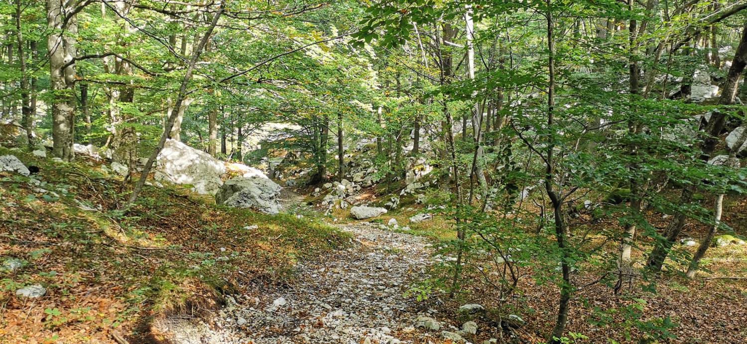 Planina Srednica - Planina Srednica slika 23