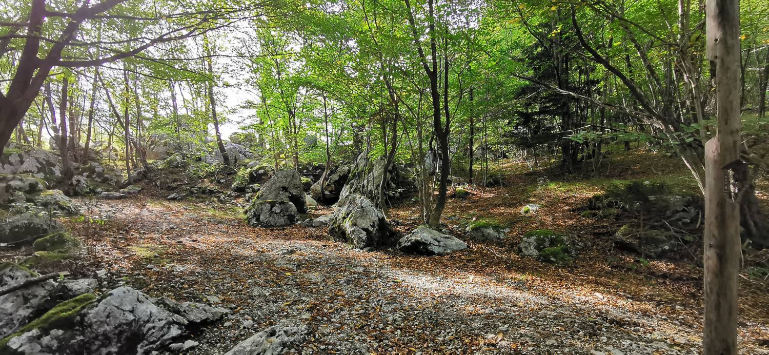 Planina Srednica - Planina Srednica slika 48